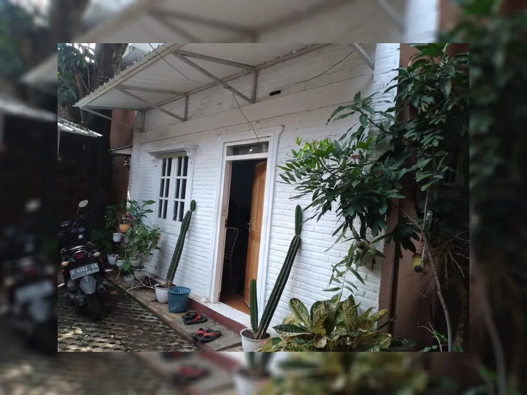 WhatsApp Image 2022-11-16 at 14.50.35.jpeg